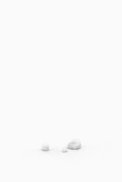 still lives / nature immobili